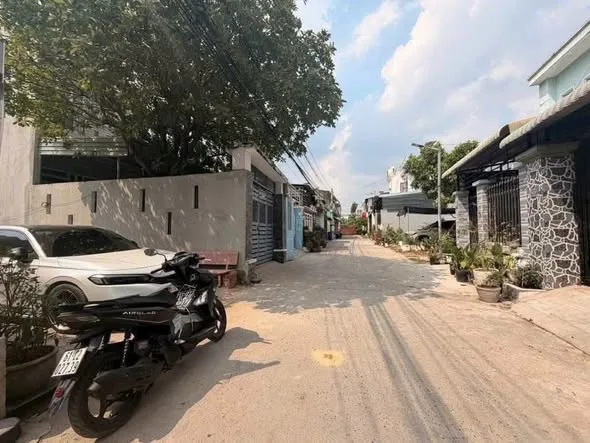 Bất động sản tại Bình Dương - ảnh 1