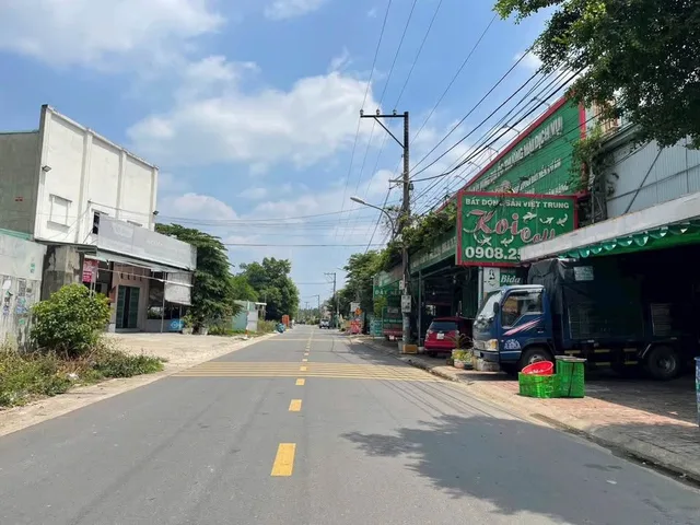 Bất động sản tại Bình Dương - ảnh 1