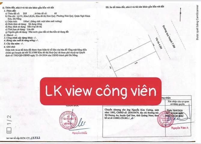 Bất động sản tại Đà Nẵng - ảnh 1