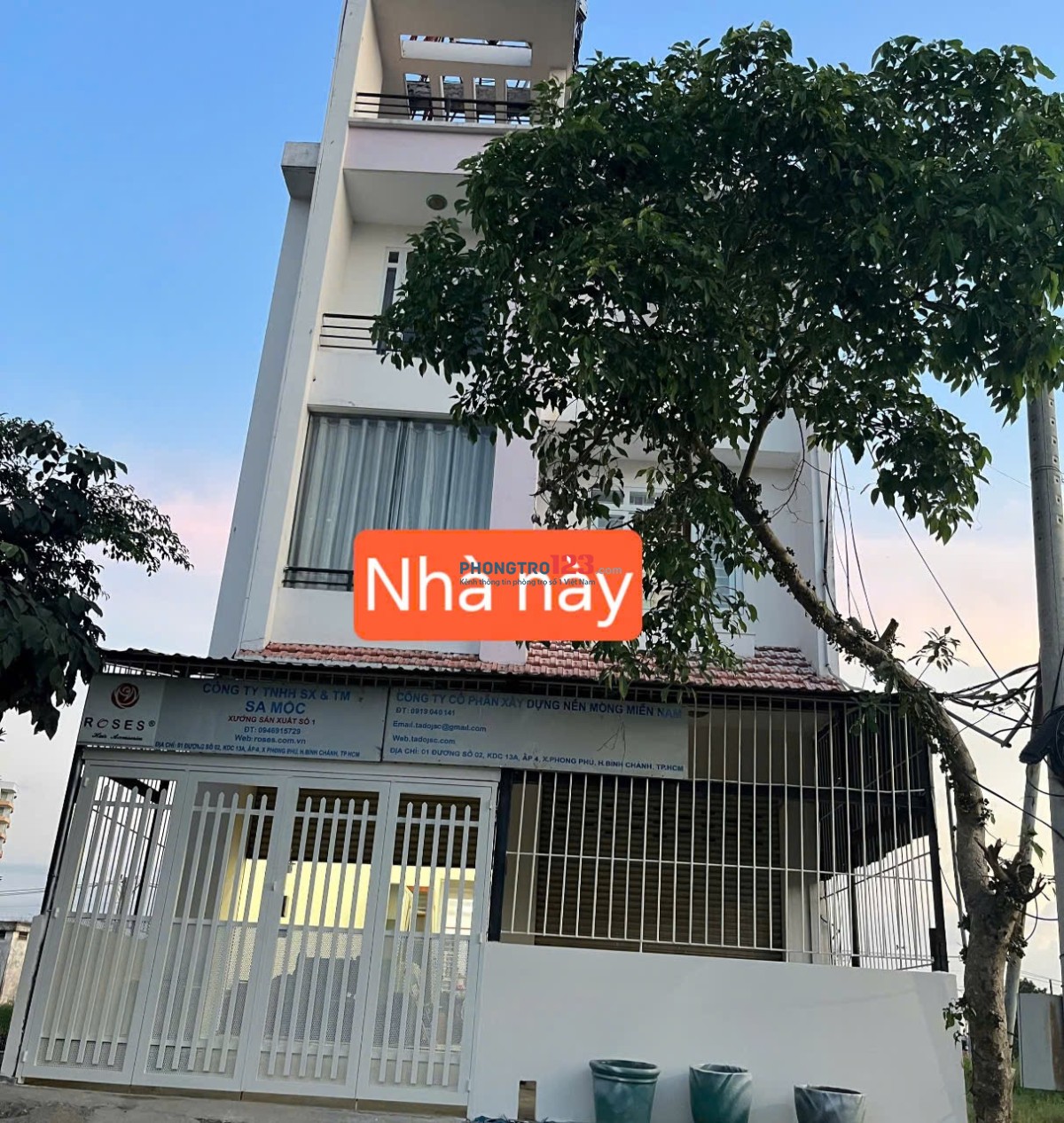 Bất động sản tại TP. Hồ Chí Minh - ảnh 1