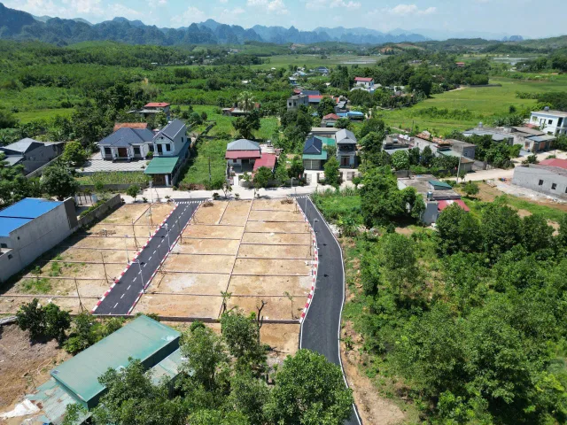 Bất động sản tại Phú Thọ - ảnh 1
