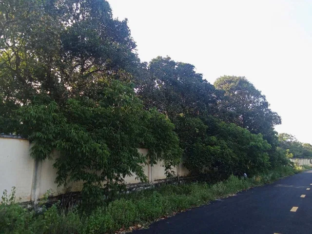 Bất động sản tại Bà Rịa - Vũng Tàu - ảnh 1