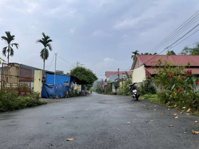 Bất động sản tại Phú Thọ - ảnh 1