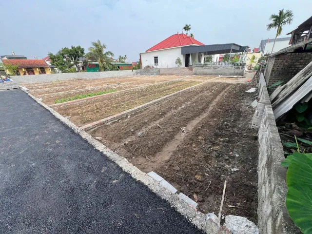 Bất động sản tại Hải Phòng - ảnh 1