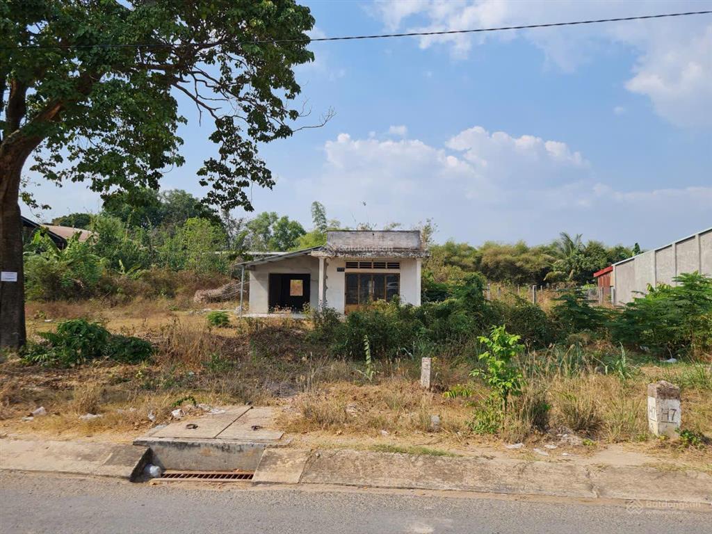 Bất động sản tại Long An - ảnh 1