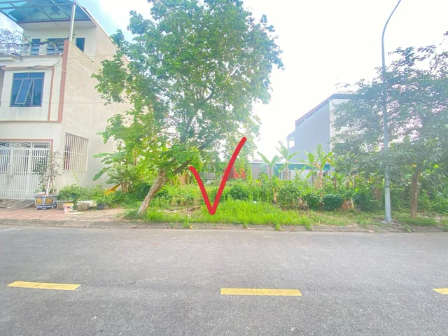 Bất động sản tại Phú Thọ - ảnh 1