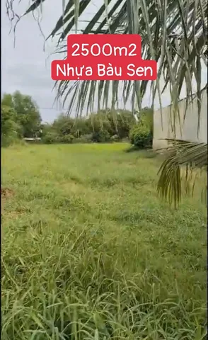 Bất động sản tại Long An - ảnh 1