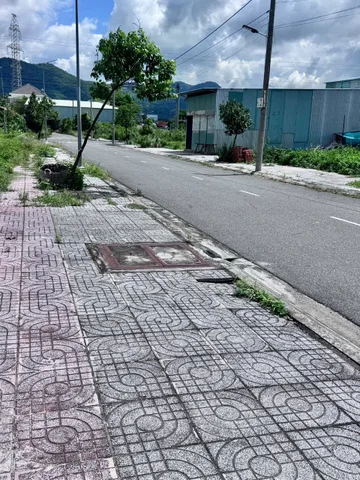 Bất động sản tại Bà Rịa - Vũng Tàu - ảnh 1