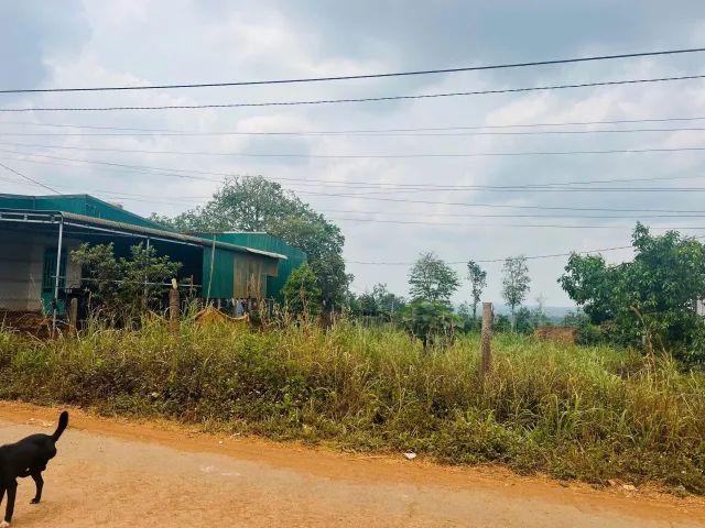 Bất động sản tại Đắk Lắk - ảnh 1