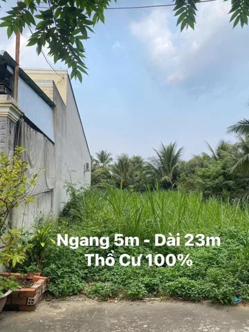 Bất động sản tại Đồng Tháp - ảnh 1