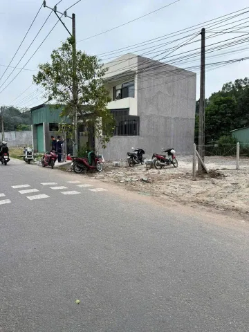 Bất động sản tại Bình Dương - ảnh 1