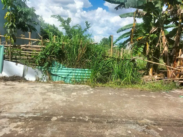 Bất động sản tại Bình Dương - ảnh 1
