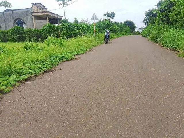 Bất động sản tại Bà Rịa - Vũng Tàu - ảnh 1