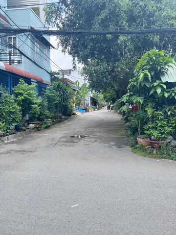 Bất động sản tại TP. Hồ Chí Minh - ảnh 1