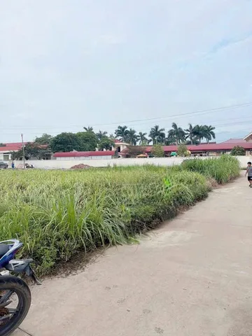 Bất động sản tại Phú Thọ - ảnh 1
