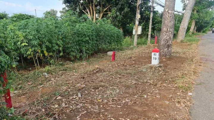 Bất động sản tại Bà Rịa - Vũng Tàu - ảnh 1