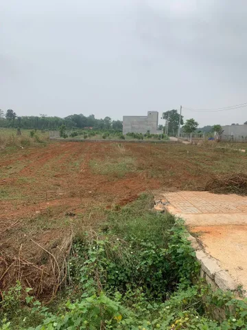 Bất động sản tại Bà Rịa - Vũng Tàu - ảnh 1