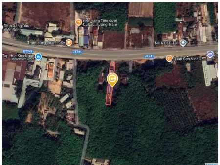 Bất động sản tại Bình Dương - ảnh 1