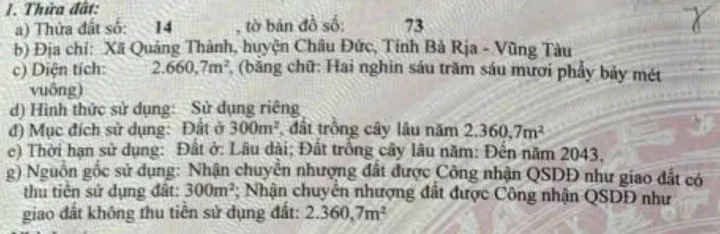 Bất động sản tại Bà Rịa - Vũng Tàu - ảnh 1