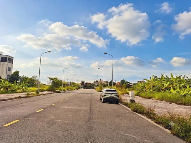 Bất động sản tại Phú Thọ - ảnh 1