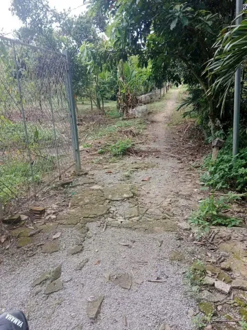Bất động sản tại Bình Dương - ảnh 1