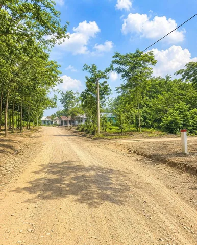 Bất động sản tại Bình Phước - ảnh 1
