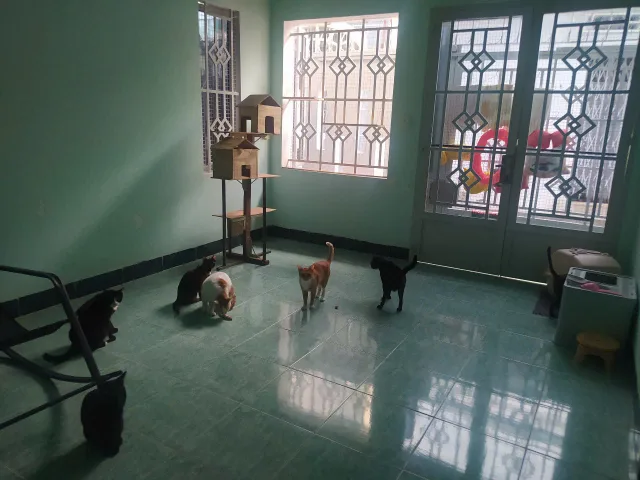 Bất động sản tại Bà Rịa - Vũng Tàu - ảnh 1