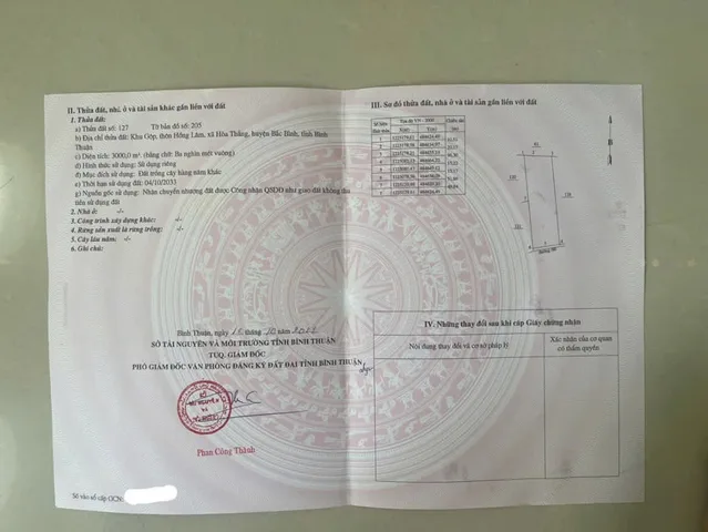 Bất động sản tại Lâm Đồng - ảnh 1