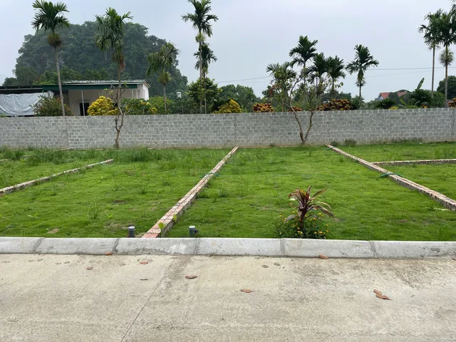 Bất động sản tại Phú Thọ - ảnh 1