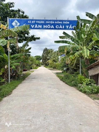Bất động sản tại Bến Tre - ảnh 1
