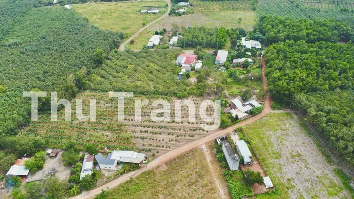 Bất động sản tại Đồng Nai - ảnh 1