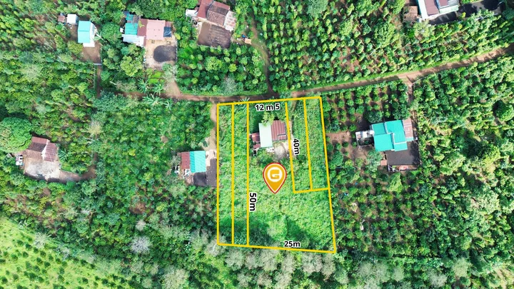 Bất động sản tại Đắk Lắk - ảnh 1