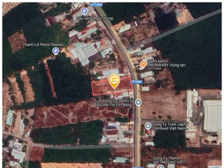 Bất động sản tại Bình Dương - ảnh 1