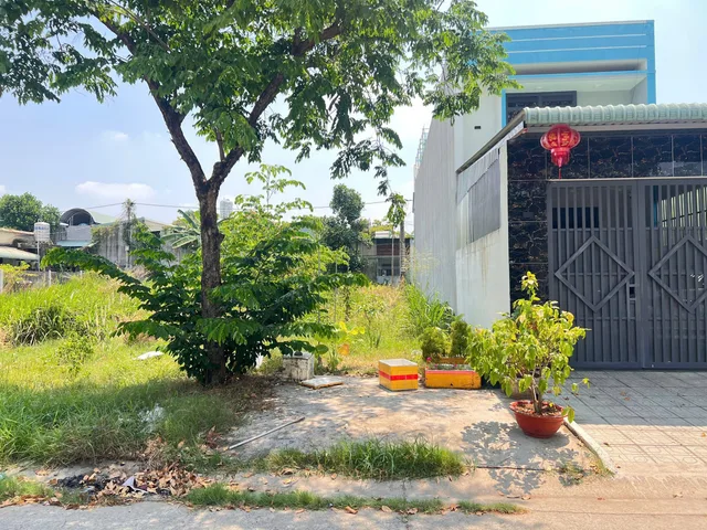 Bất động sản tại Bình Dương - ảnh 1