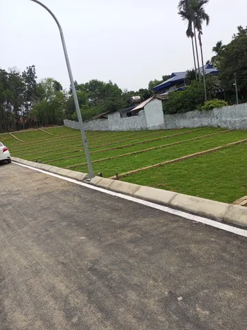 Bất động sản tại Phú Thọ - ảnh 1