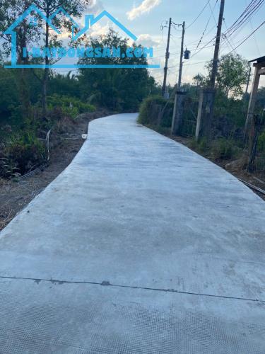 Bất động sản tại Long An - ảnh 1