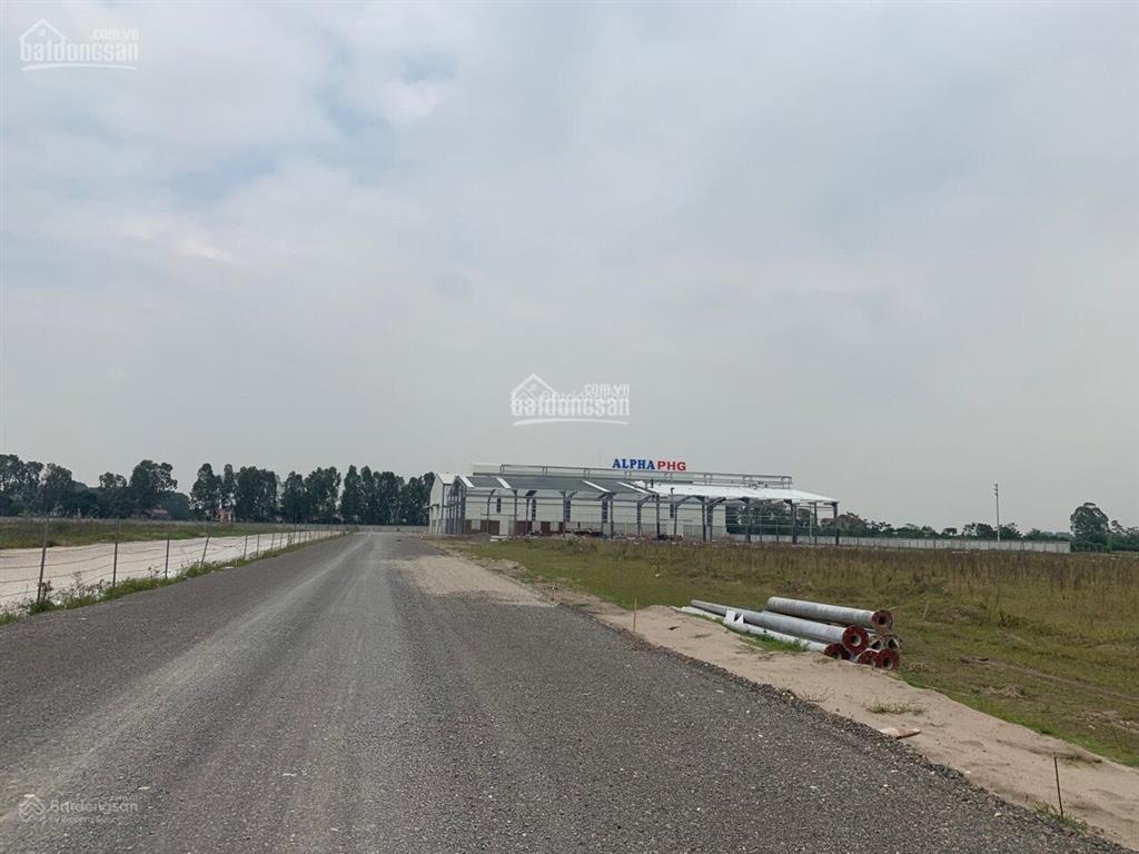 Bất động sản tại Thái Bình - ảnh 1