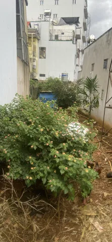Bất động sản tại Lâm Đồng - ảnh 1