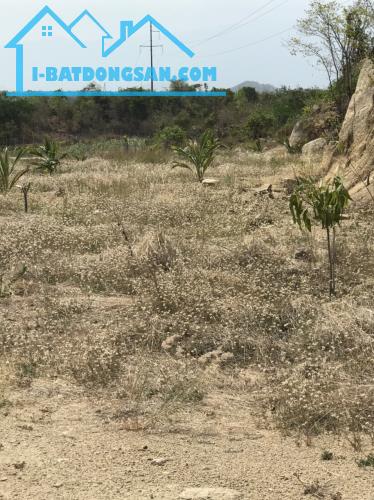 Bất động sản tại Ninh Thuận - ảnh 1