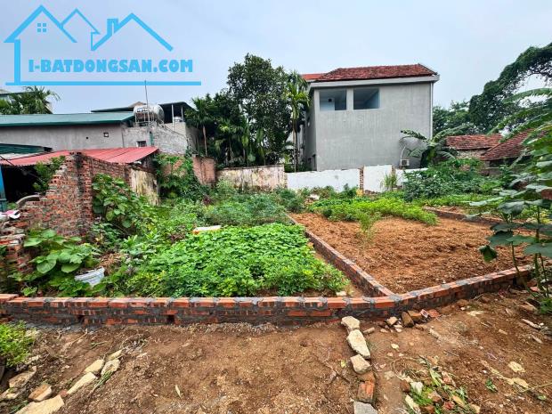 Bất động sản tại Phú Thọ - ảnh 1