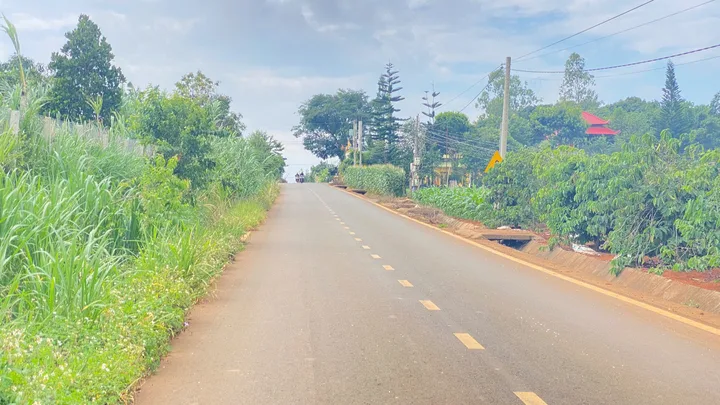 Bất động sản tại Lâm Đồng - ảnh 1