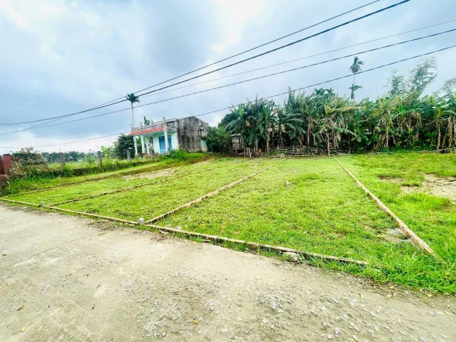 Bất động sản tại Đà Nẵng - ảnh 1