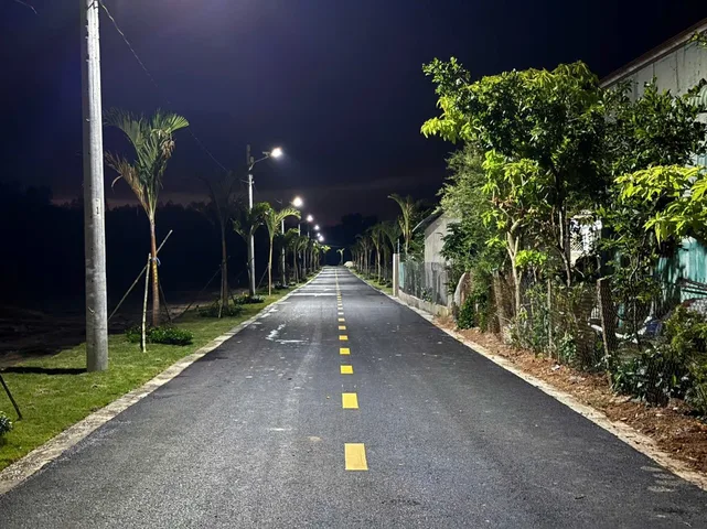 Bất động sản tại Bình Dương - ảnh 1