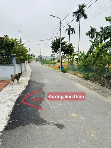 Bất động sản tại Hải Phòng - ảnh 1