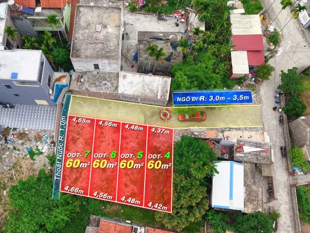 Bất động sản tại Hải Phòng - ảnh 1