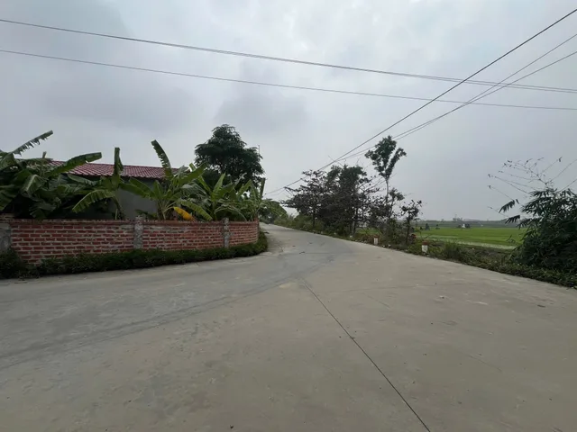 Bất động sản tại Hải Phòng - ảnh 1