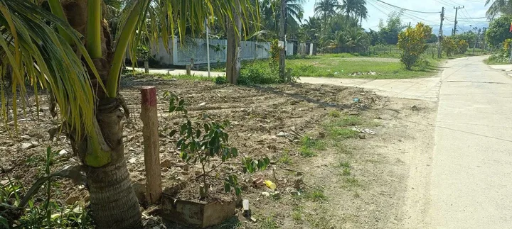 Bất động sản tại Khánh Hòa - ảnh 1