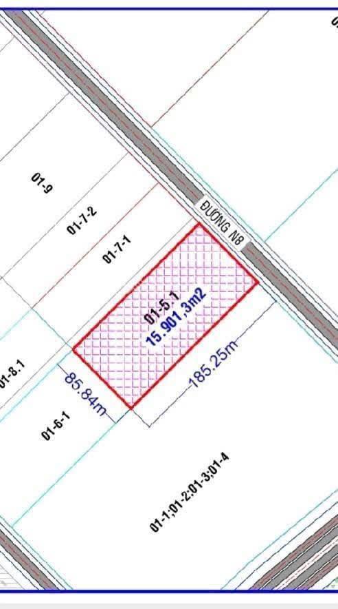 Bất động sản tại Long An - ảnh 1