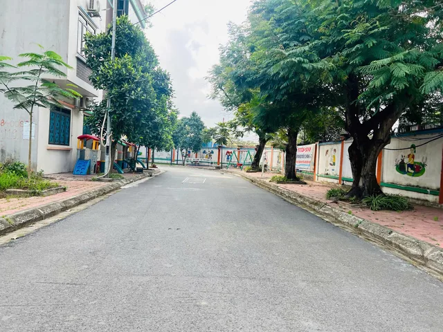 Bất động sản tại Hải Phòng - ảnh 1