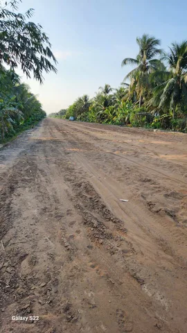 Bất động sản tại Tiền Giang - ảnh 1